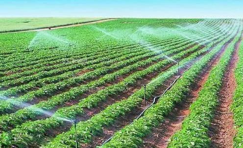 日小逼,农田高 效节水灌溉